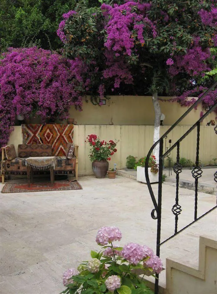 Blue Sea Garden Hotel Antalya 3*,